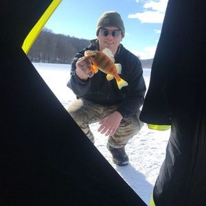 Meet your Posher, Garrett